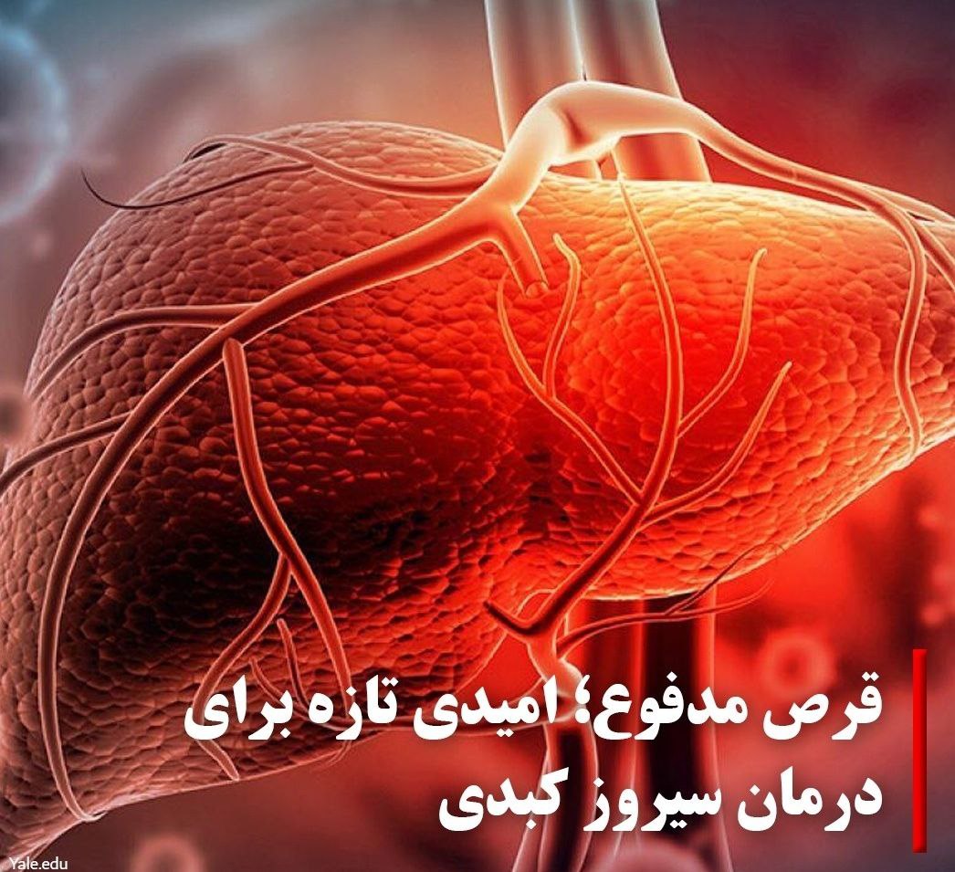 قرص مدفوع 