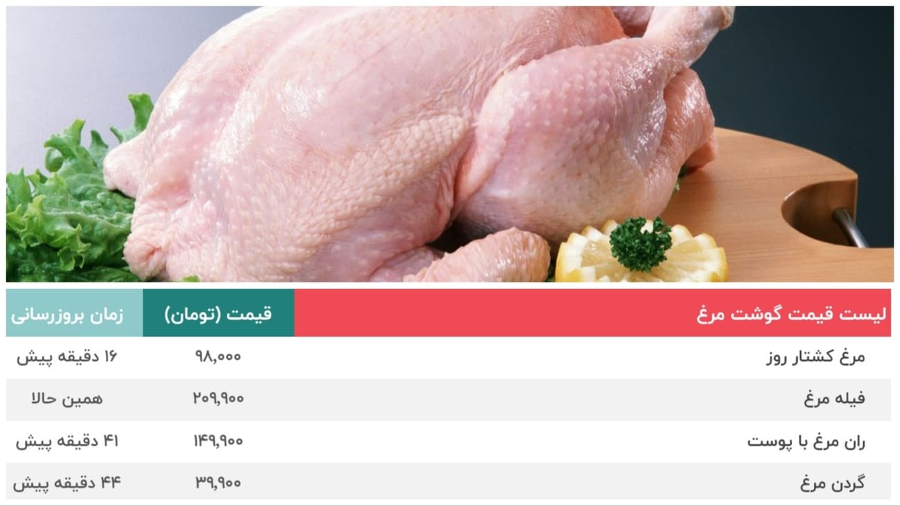 قیمت مرغ 