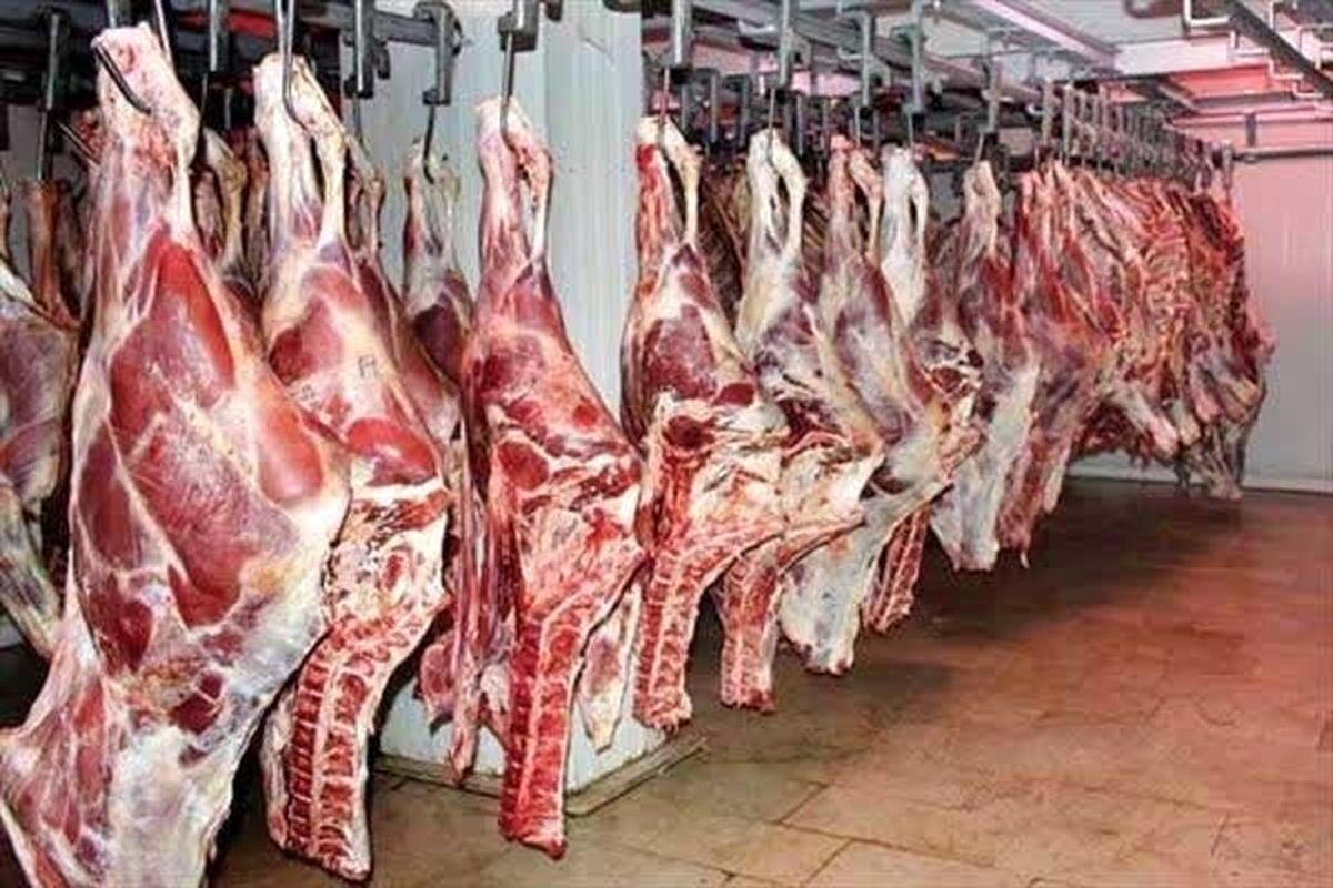 قیمت گوشت