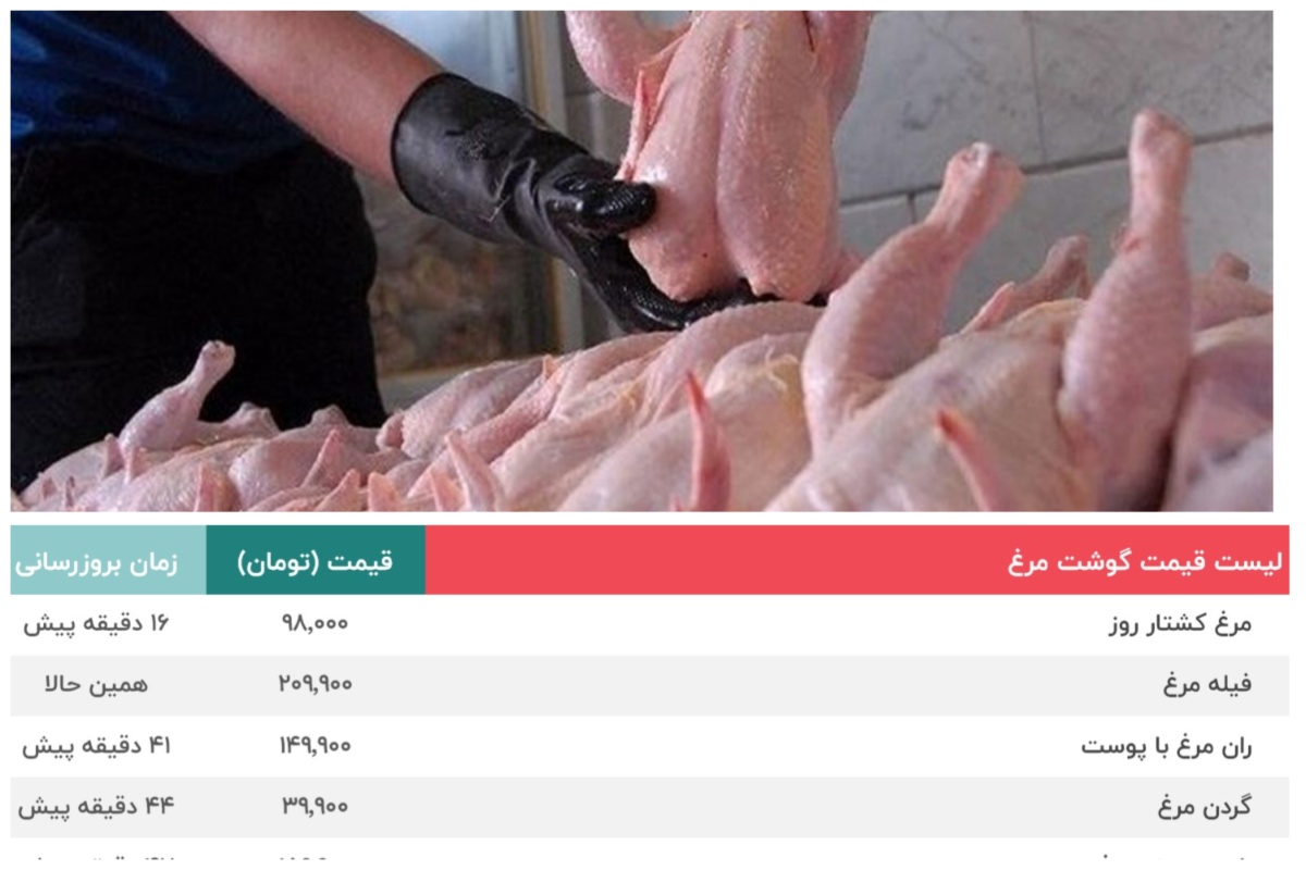 قیمت مرغ 